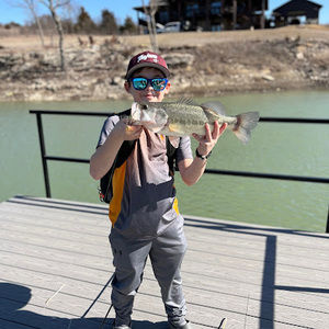 Meet your Posher, Eli